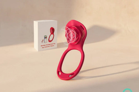 Secret couples vibrator Secret LLC