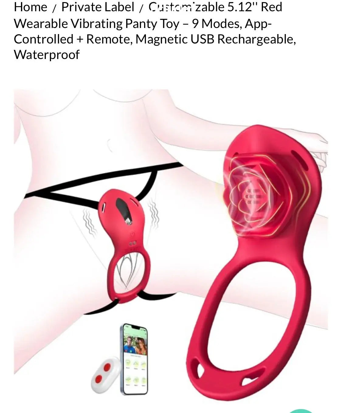 Secret couples vibrator Secret LLC